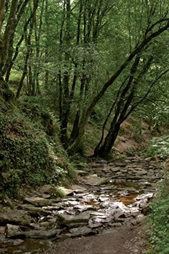 Balades nature en Brocéliande