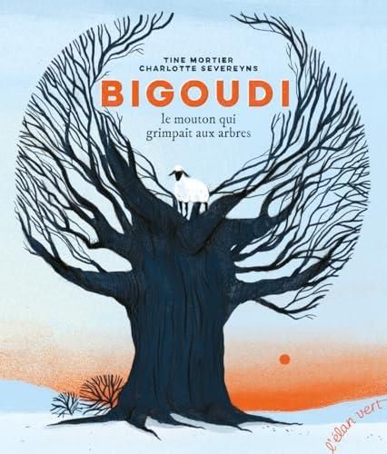 Bigoudi