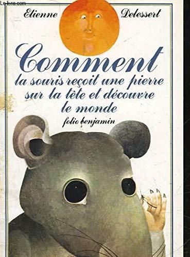Comment la souris reçoit une pierre sur la tête et découvre le monde