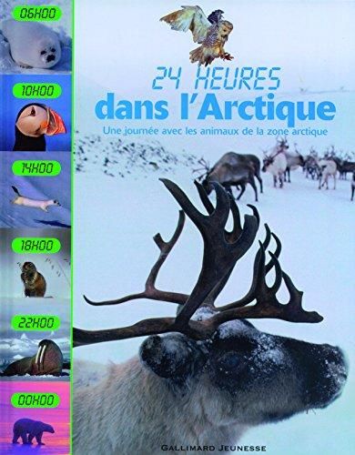 Dans l'Arctique