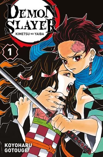 Demon slayer T.01 : Demon slayer