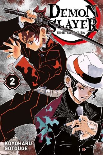 Demon slayer T.02 : Demon slayer