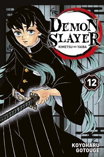 Demon slayer T.12 : Demon slayer