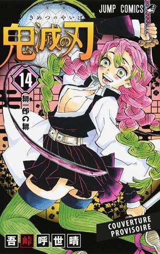 Demon slayer T.14 : Demon slayer