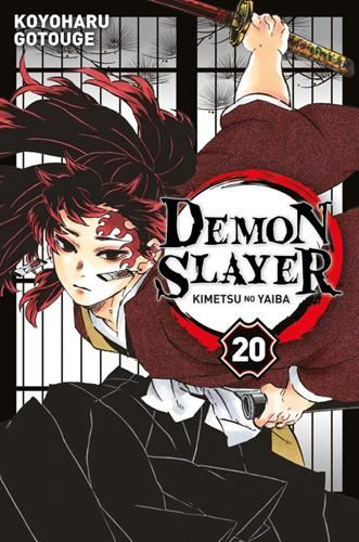 Demon slayer T.20 : Demon slayer