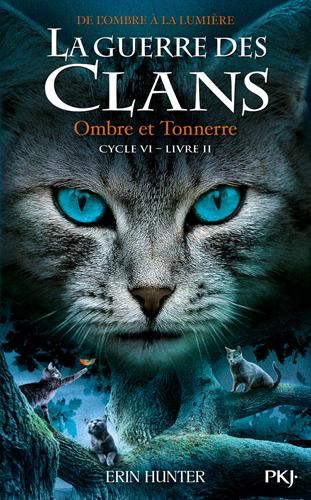 Guerre des clans, de l'ombre à la lumière (La) Cycle 6 T.02 : Ombre et tonnerre