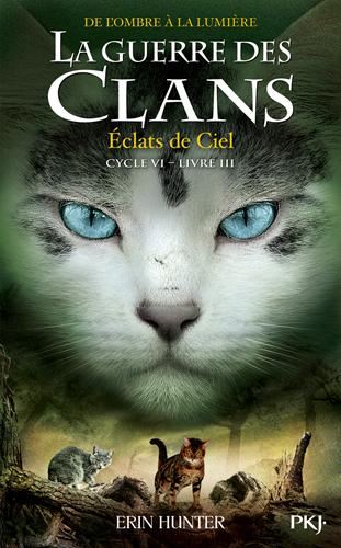 Guerre des clans, de l'ombre à la lumière (La) Cycle 6 T.03 : Éclats de ciel