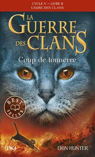 Guerre des clans, l'aube des clans (La) Cycle 5 T.02 : Coup de tonnerre