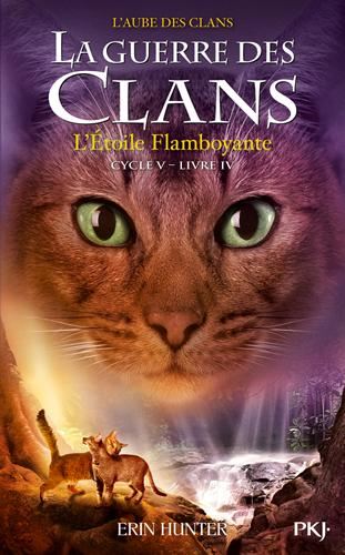 Guerre des clans, l'aube des clans (La) Cycle 5 T.04 : L'étoile flamboyante
