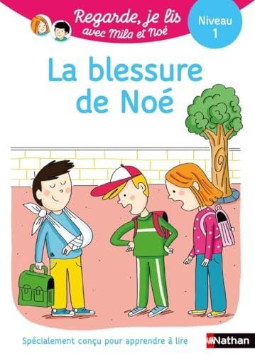 La Blessure de Noé