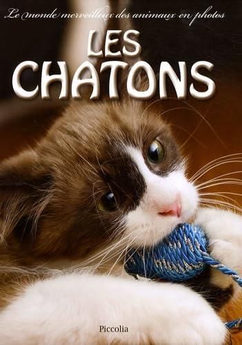 Les Chatons