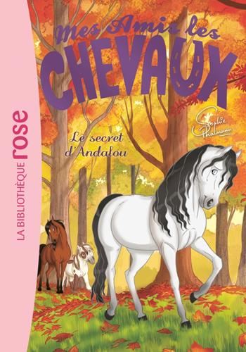 Mes amis les chevaux T.19 : Le secret d'Andalou