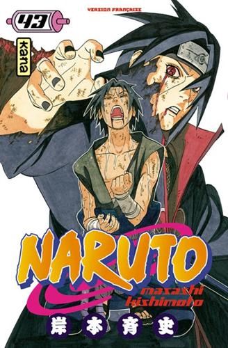 Naruto T.43 : Naruto