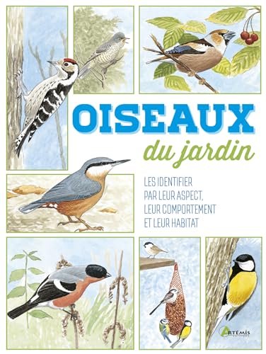 Oiseaux du jardin