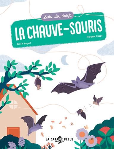 Suis du doigt : La chauve-souris
